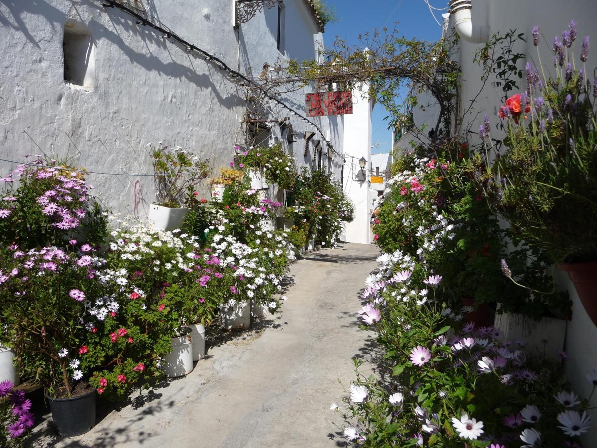 Vivienda Turistica De Alojamiento Rural Silla Vieja 贝赫尔-德拉弗龙特拉 外观 照片