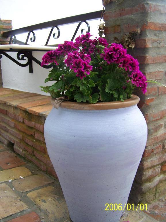 Vivienda Turistica De Alojamiento Rural Silla Vieja 贝赫尔-德拉弗龙特拉 外观 照片